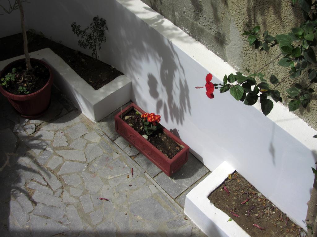 Petra Hotel Agia Galini Exteriör bild